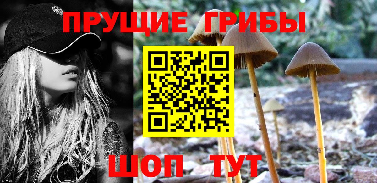 Псилоцибиновые грибы Psilocybine cubensis  Вход с VPN  Ачхой-Мартан 