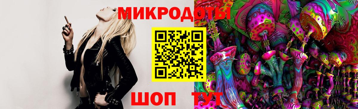Псилоцибиновые грибы GOLDEN TEACHER Ачхой-Мартан