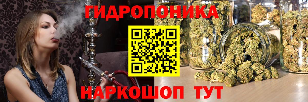 Ачхой-Мартан  Конопля сатива  МАРИХУАНА Amnesia  Бошки Шишки VHQ  Вход с VPN 